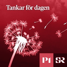 Tankar för dagen — radio